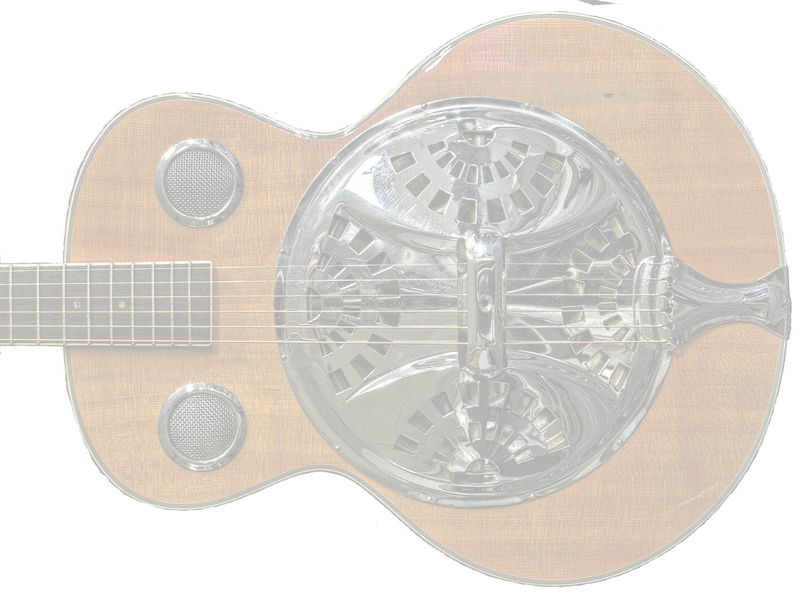 Dobro guitar